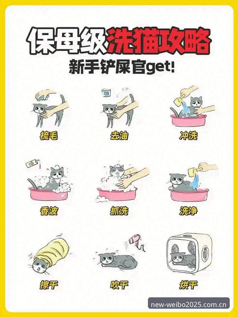 新手必看：吃透伟博体育互动服务2026最新版本的7个关键细节